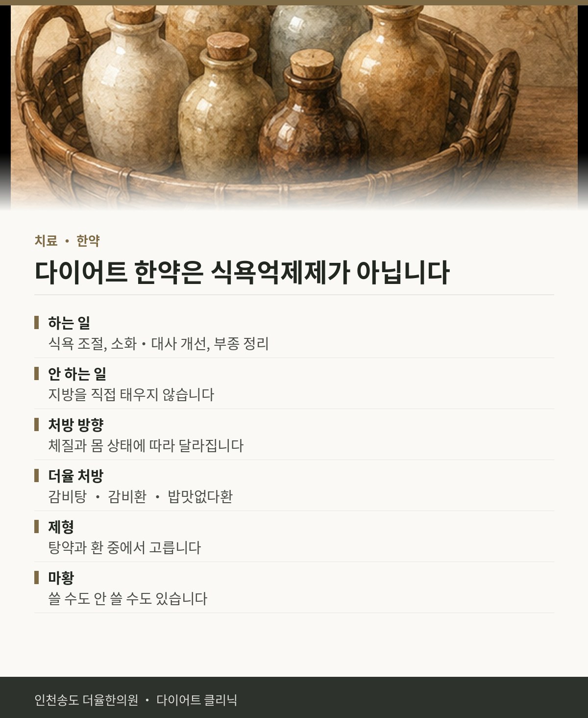 다이어트 한약은 식욕억제제가 아닙니다 핵심 정리