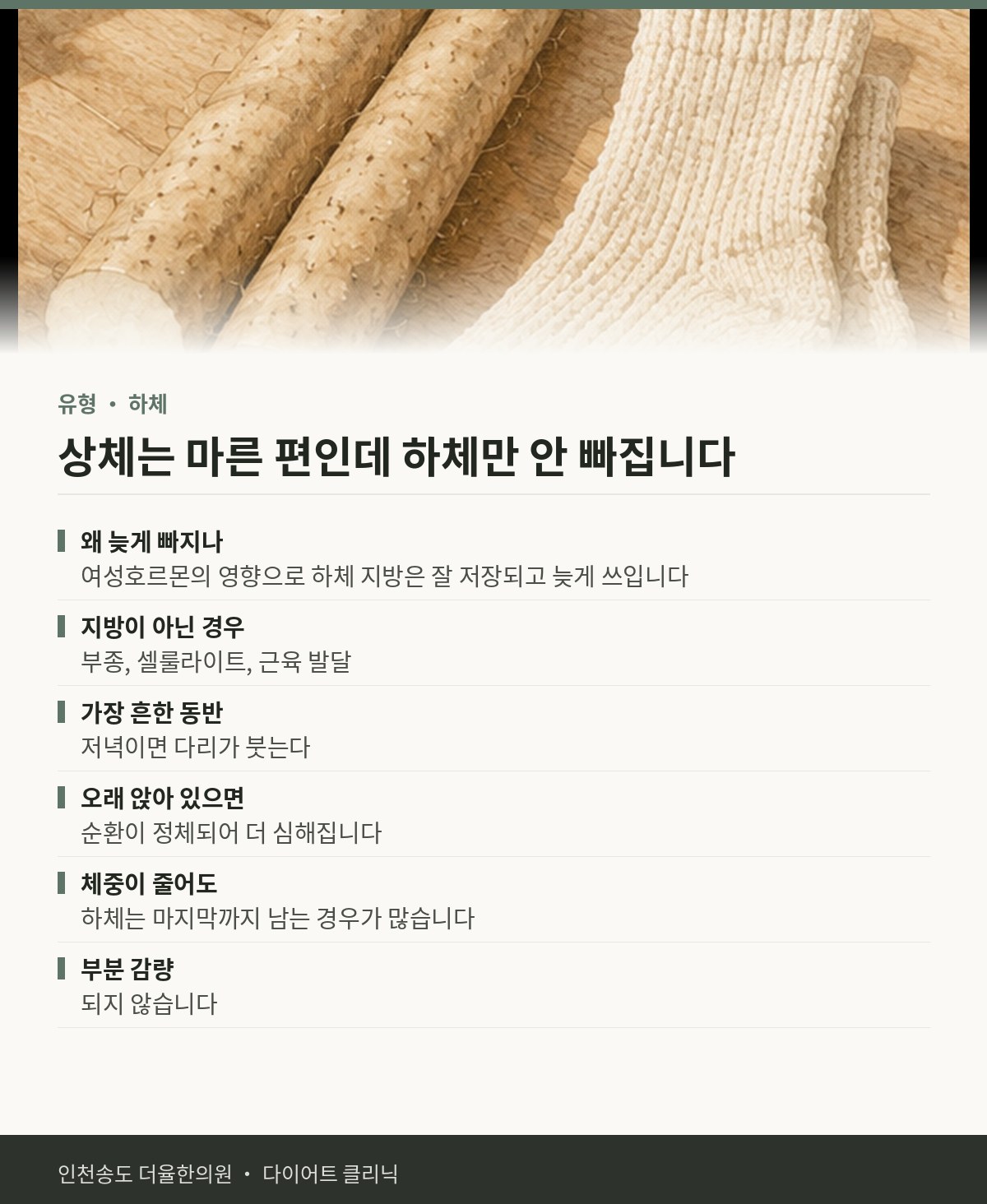 상체는 마른 편인데 하체만 안 빠집니다 핵심 정리