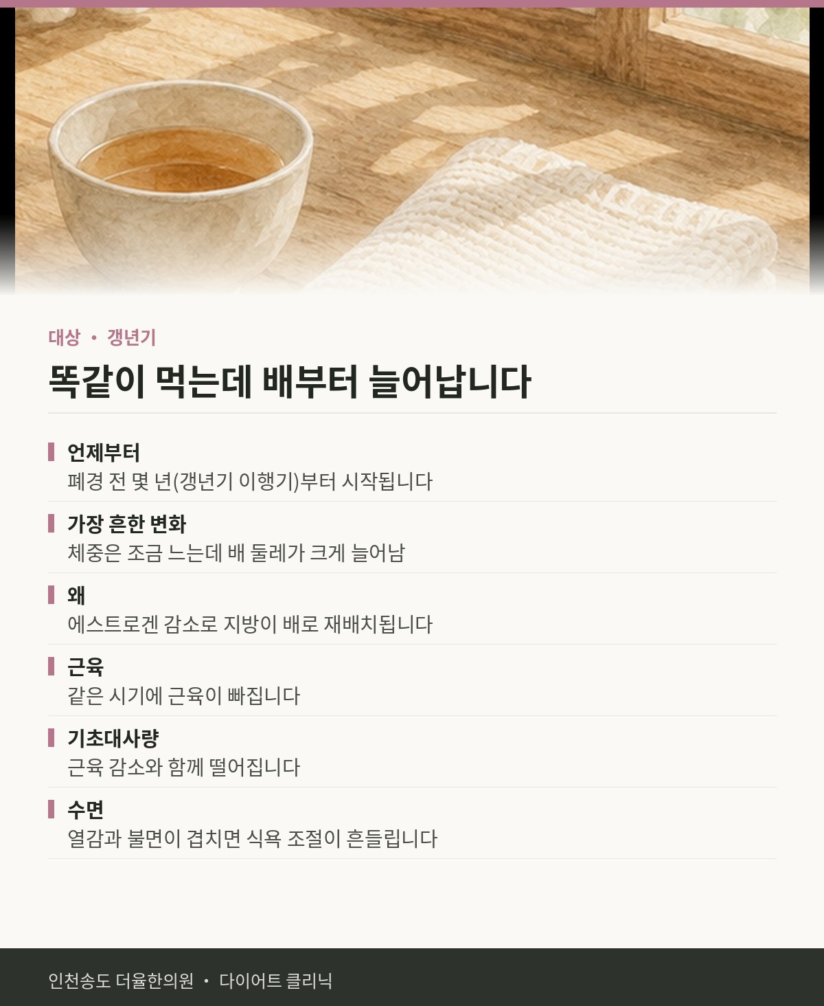 똑같이 먹는데 배부터 늘어납니다 핵심 정리