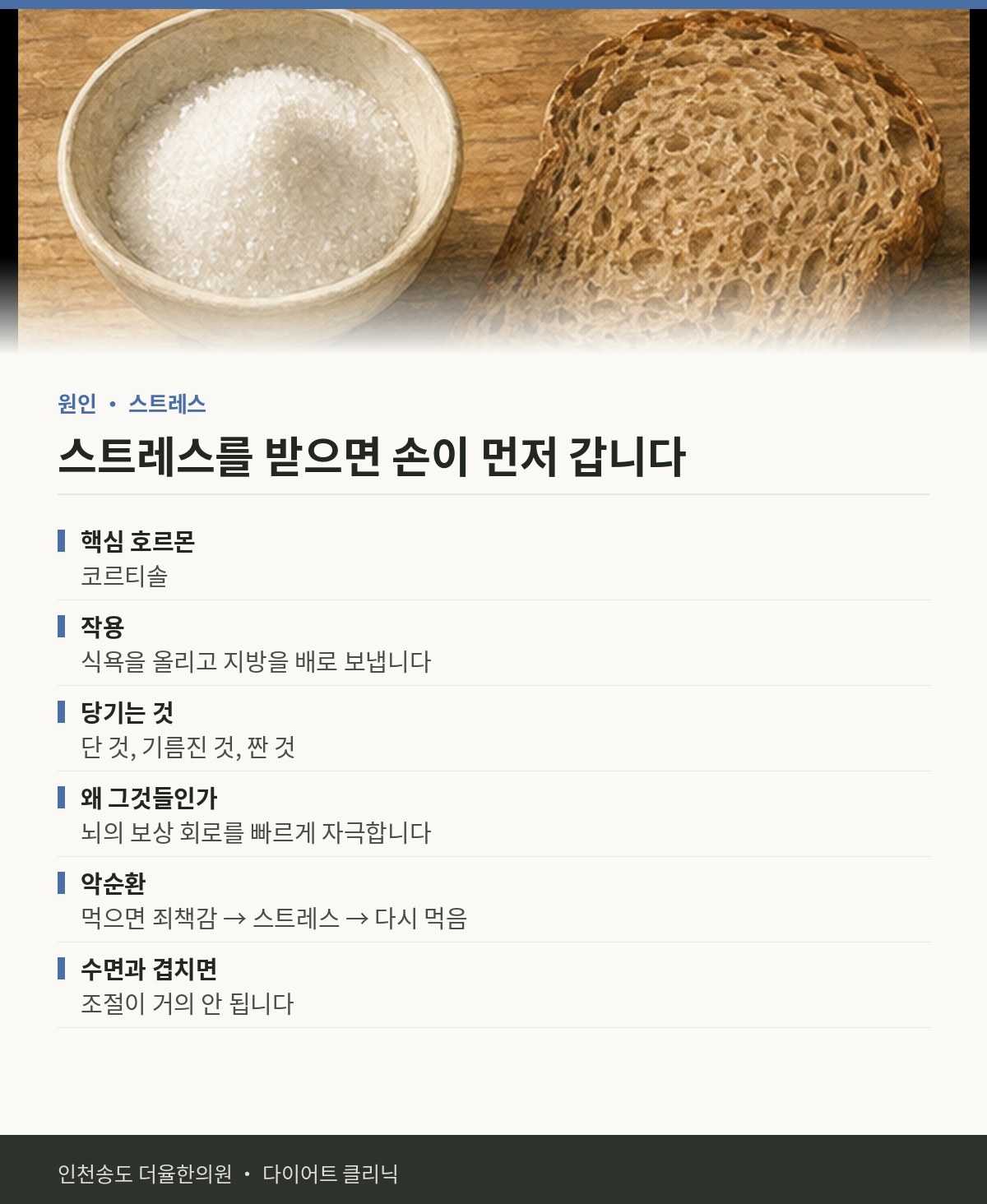 스트레스를 받으면 손이 먼저 갑니다 핵심 정리