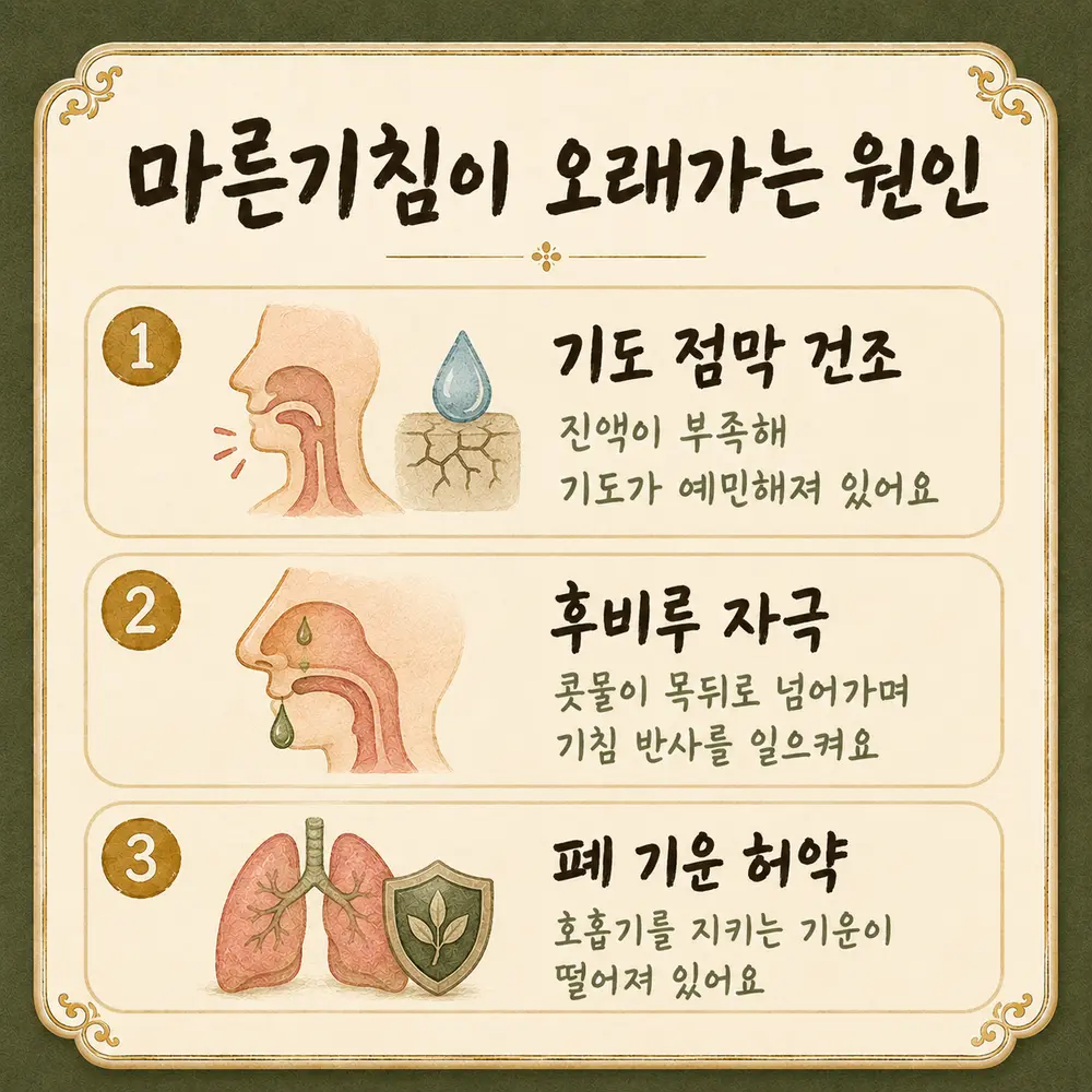 만성 마른기침 상담 - 인천 송도 더율한의원