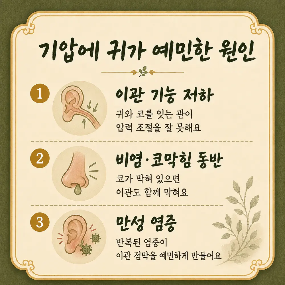 비행기 귀 통증 한방치료 - 인천 송도 더율한의원