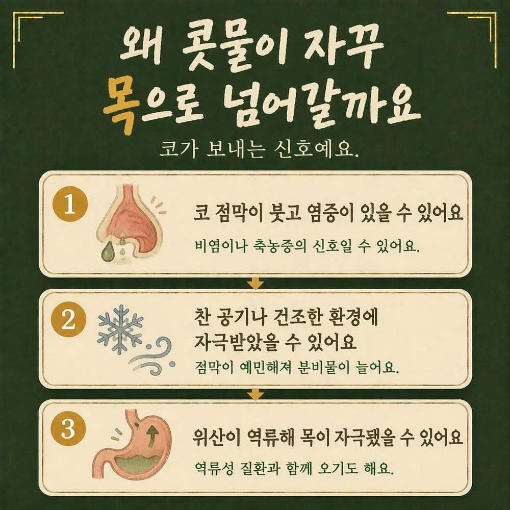 후비루 한방치료 - 인천 송도 더율한의원