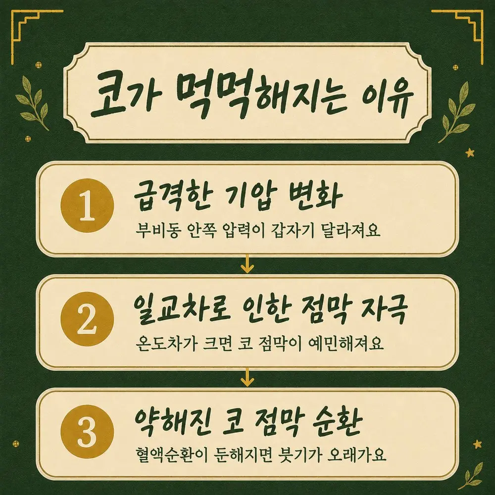 부비동 압박감 한방치료 - 인천 송도 더율한의원