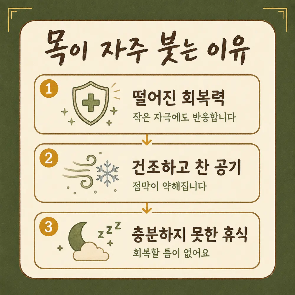 반복되는 편도염 상담 - 인천 송도 더율한의원