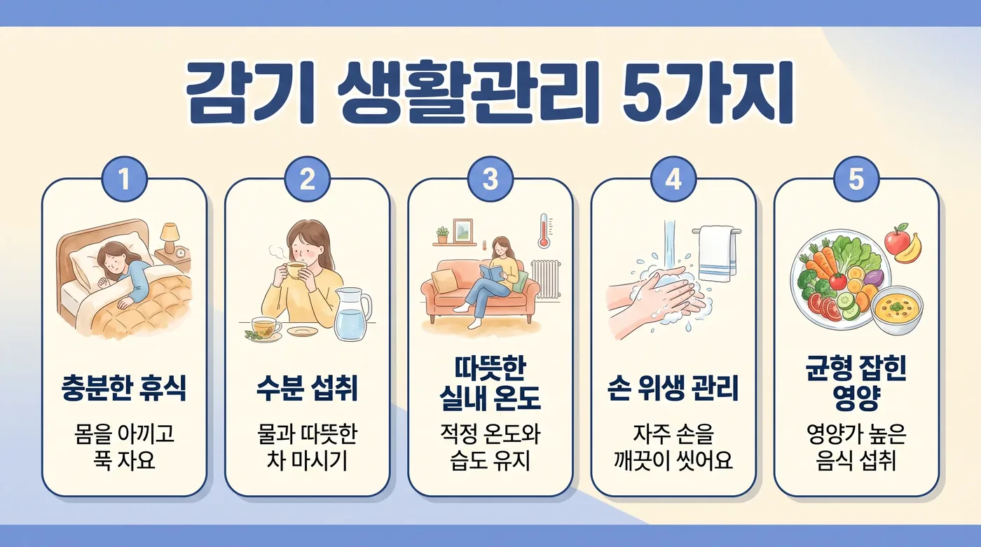 잦은 감기 생활관리 6가지 — 수면·단백질·수분·손씻기·보온·가벼운 운동