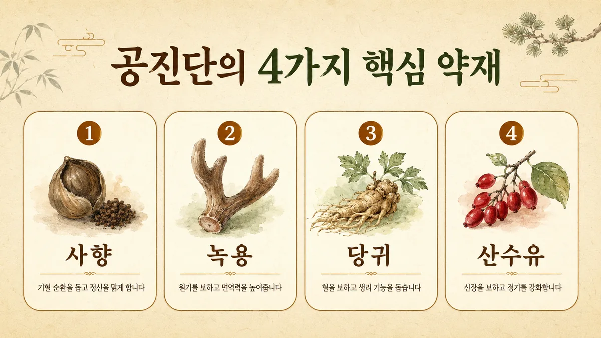 인천 송도 더율한의원 공진단의 4가지 핵심 약재 - 사향 녹용 당귀 산수유 효능 정리