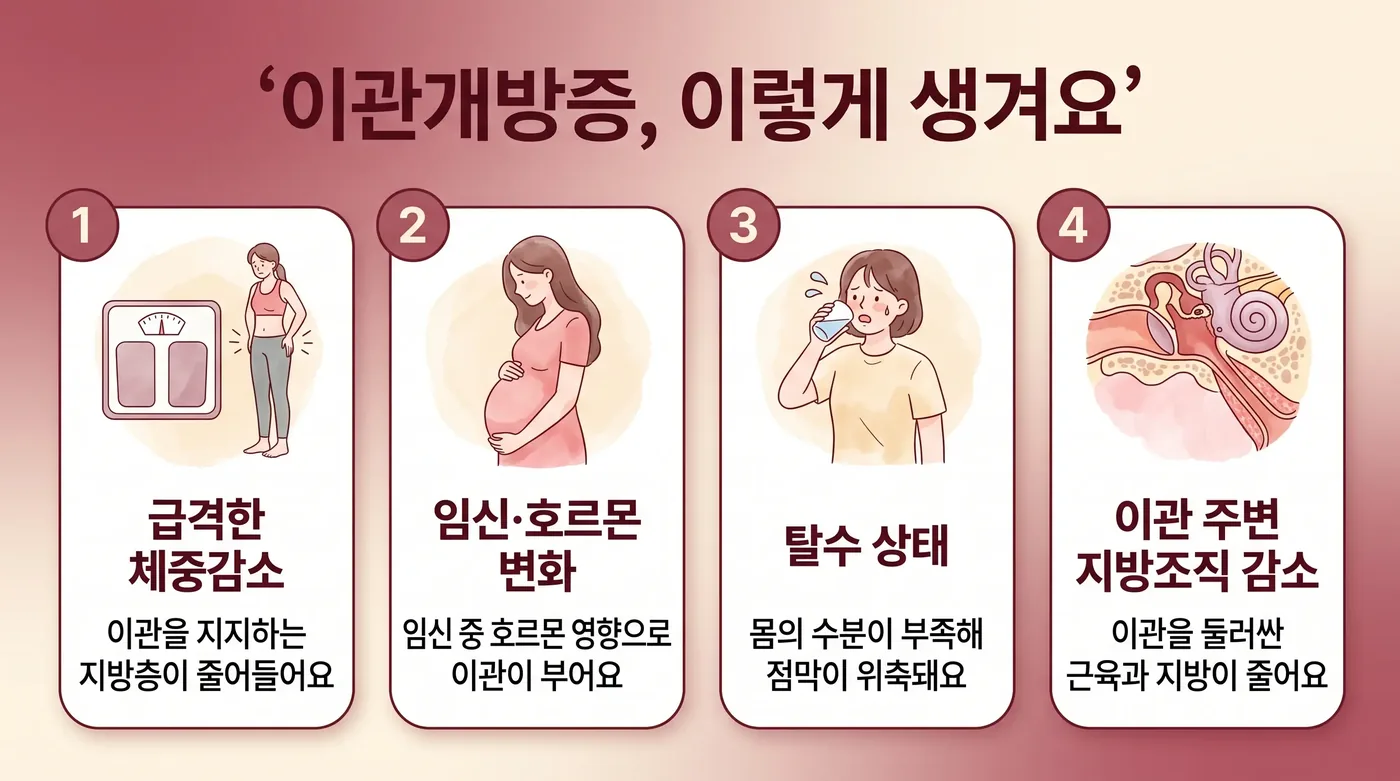 이관개방증의 기전 — 닫혀야 할 통로가 열린 채로 유지