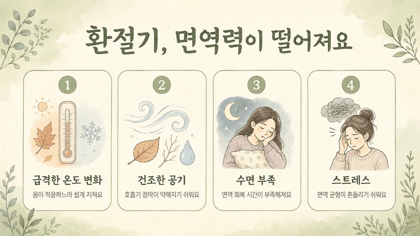 환절기 악화의 구조 — 일교차·건조·알레르겐·적응 지연
