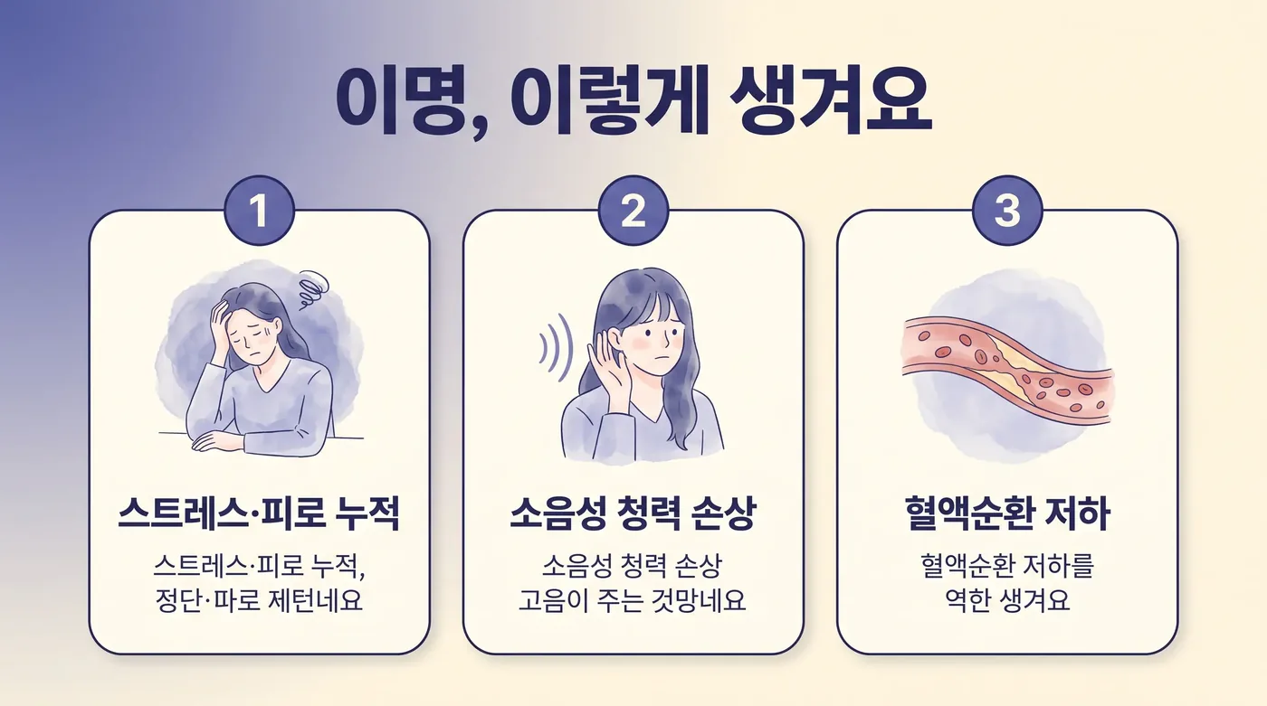 이명이 커지는 구조 — 순환 저하·긴장·수면 부족의 연결