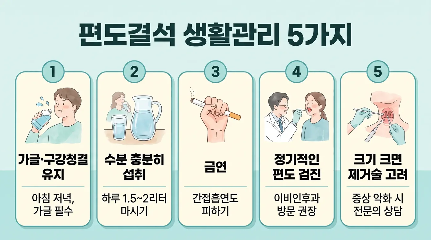 편도결석 생활관리 6가지 — 파지 않기·가글·수분·설태·식이·코호흡