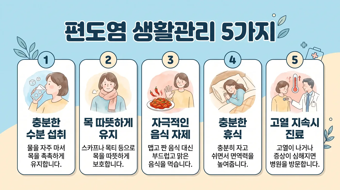 편도염 생활관리 6가지 — 수분·습도·가글·보온·휴식·금주