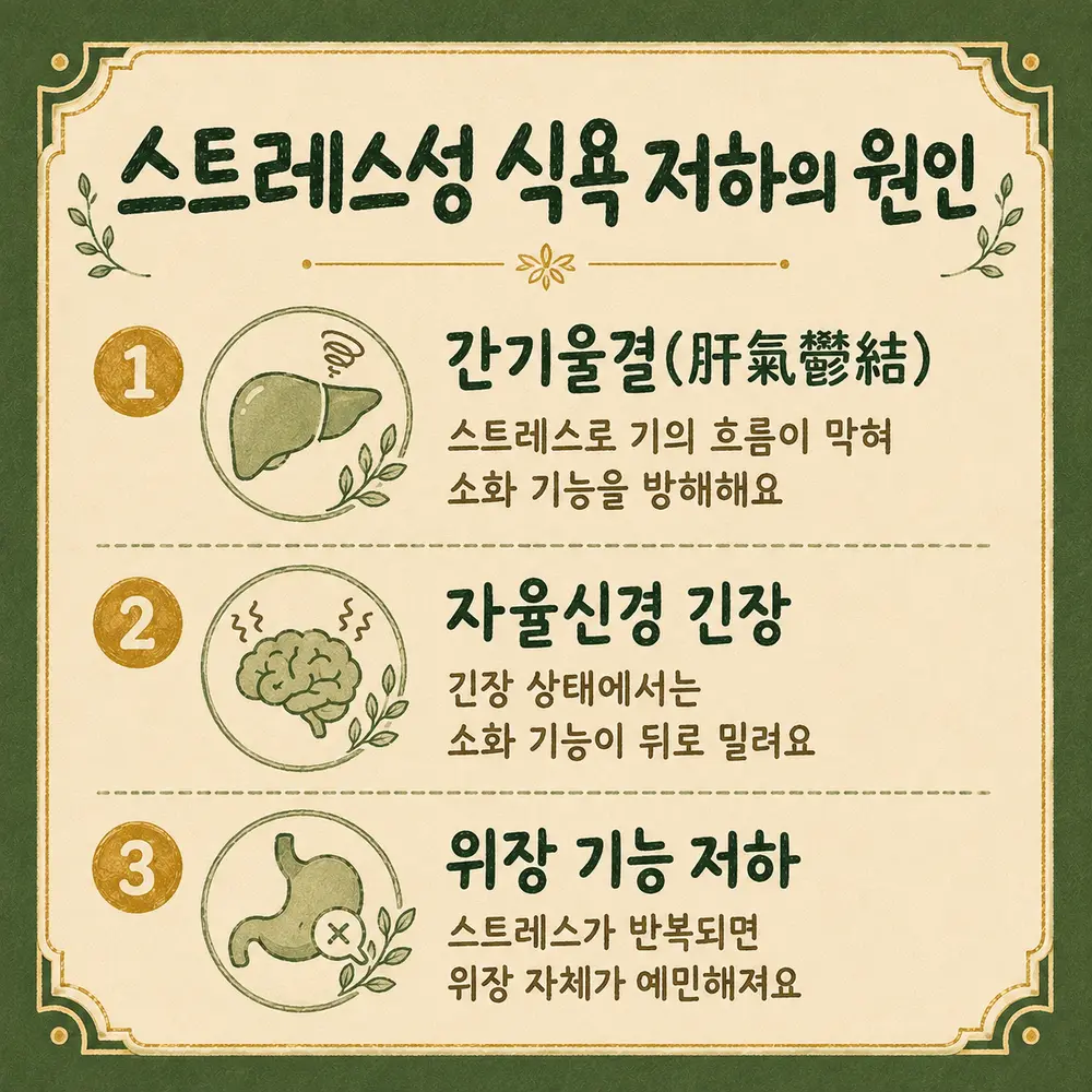스트레스로 입맛이 없을 때 상담 - 인천 송도 더율한의원
