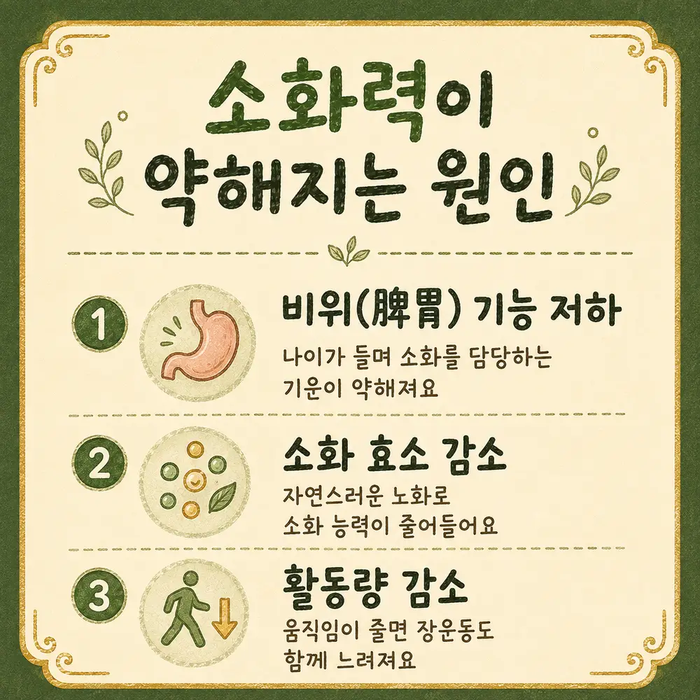 나이 들면서 소화가 더뎌질 때 상담 - 인천 송도 더율한의원