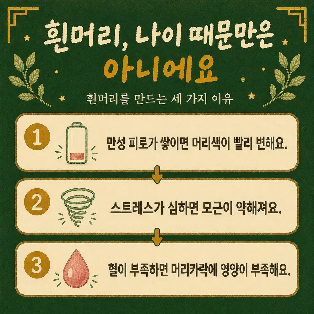 새치·흰머리 한방치료 - 인천 송도 더율한의원