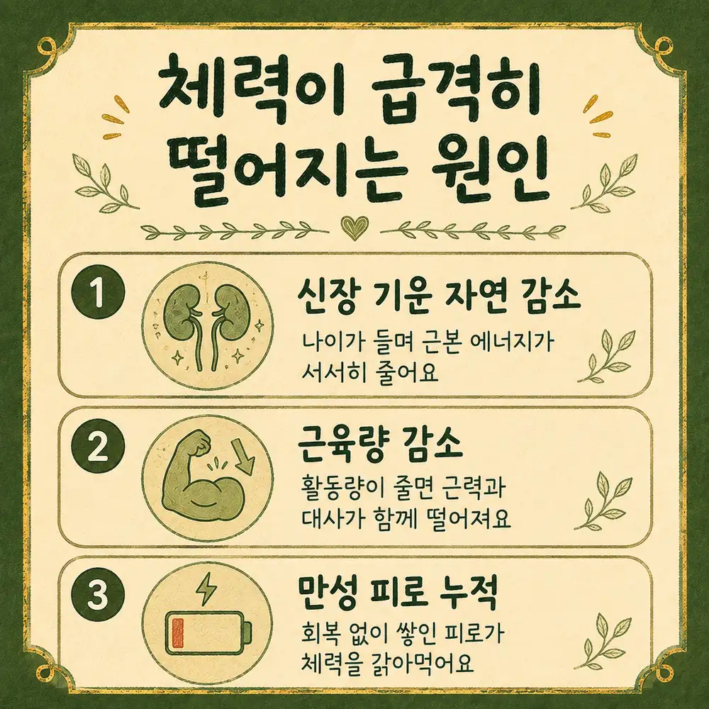 40대 체력 저하 상담 - 인천 송도 더율한의원
