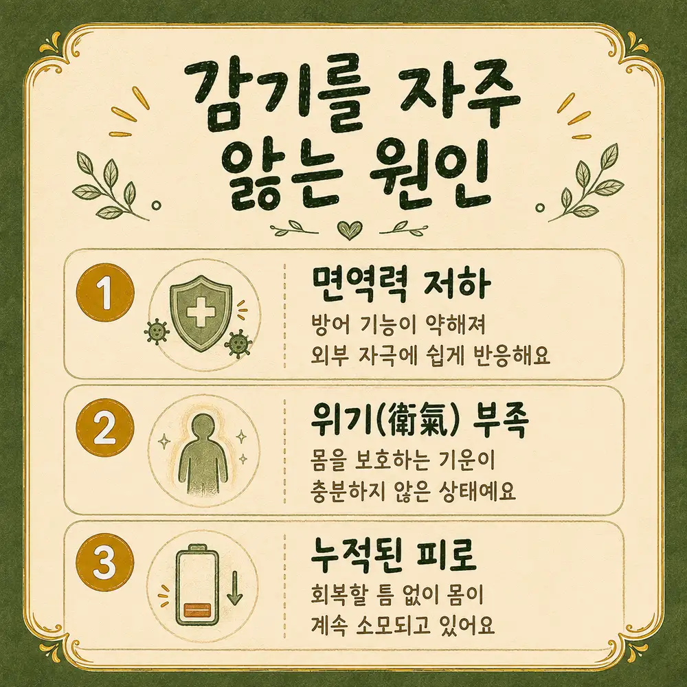 감기에 자주 걸릴 때 상담 - 인천 송도 더율한의원