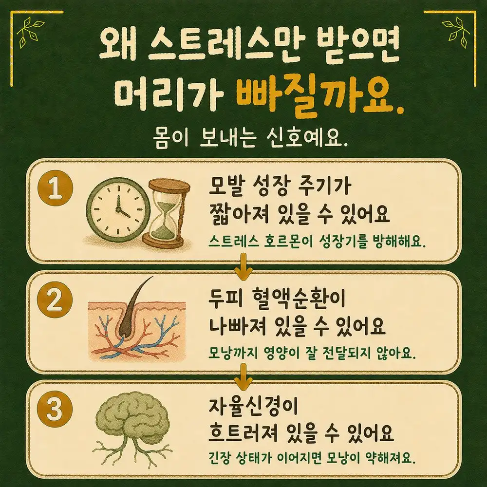 스트레스성 탈모 상담 - 인천 송도 더율한의원