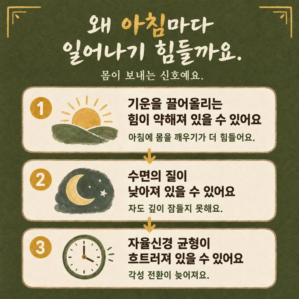 아침에 일어나기 힘들 때 상담 - 인천 송도 더율한의원