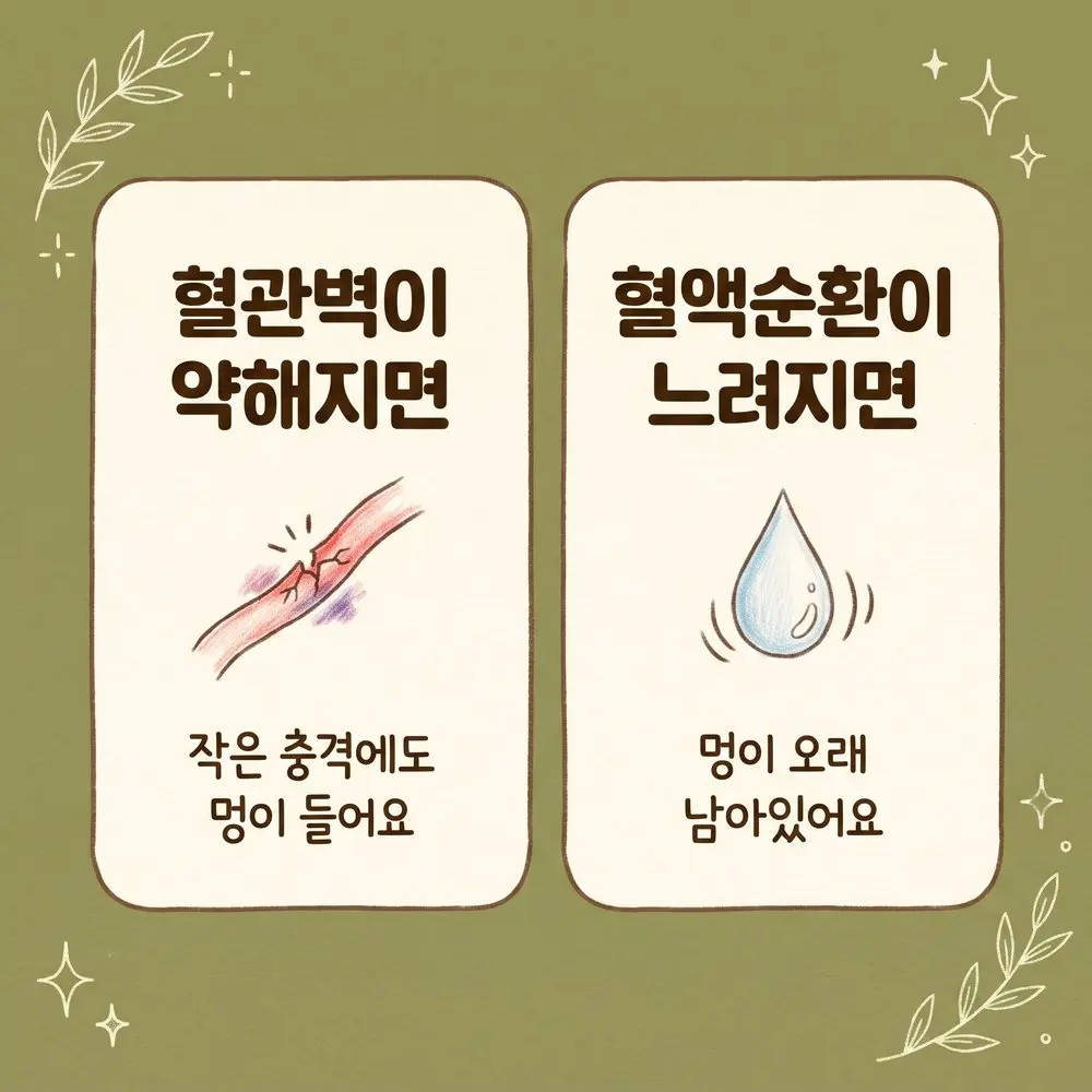 멍이 잘 드는 이유 상담 - 인천 송도 더율한의원