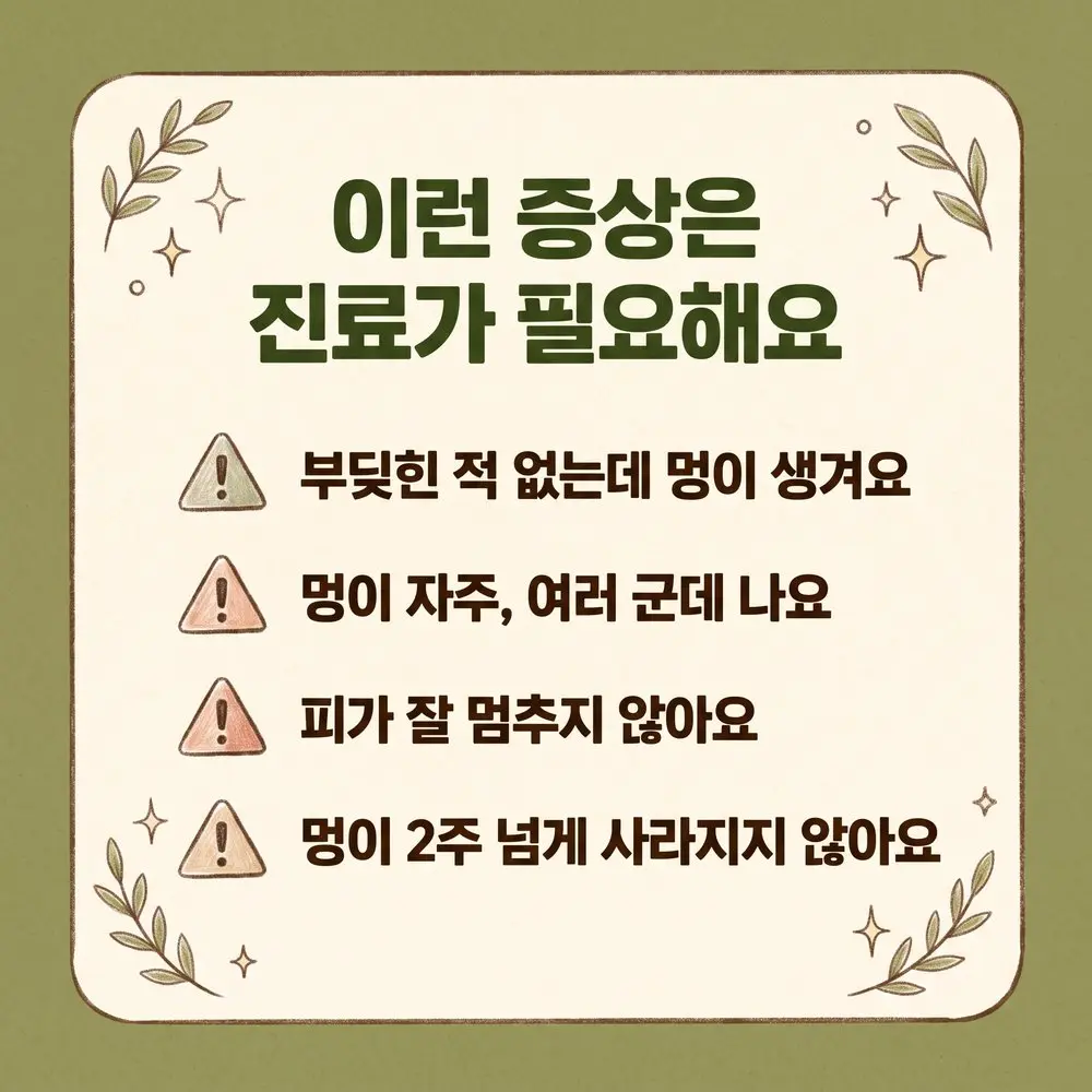멍이 잘 드는 이유 상담 - 인천 송도 더율한의원