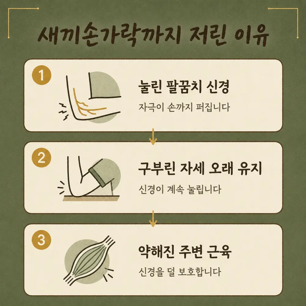 새끼손가락 저림 상담 - 인천 송도 더율한의원