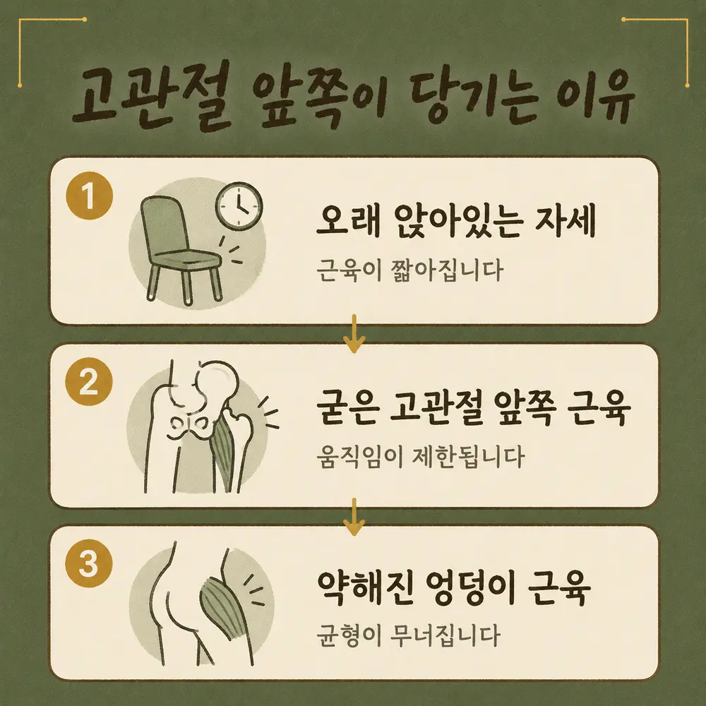 장요근 통증 한방치료 - 인천 송도 더율한의원