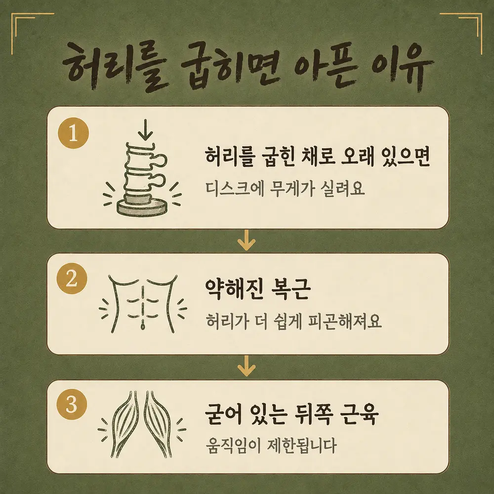 허리 굽힐 때 통증 한방치료 - 인천 송도 더율한의원