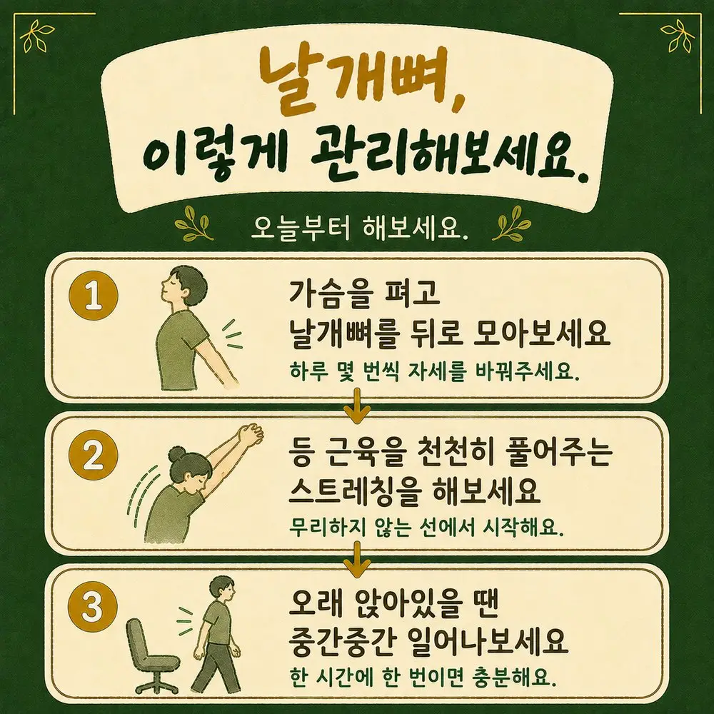 날개뼈 통증 관리법 한방치료 - 인천 송도 더율한의원