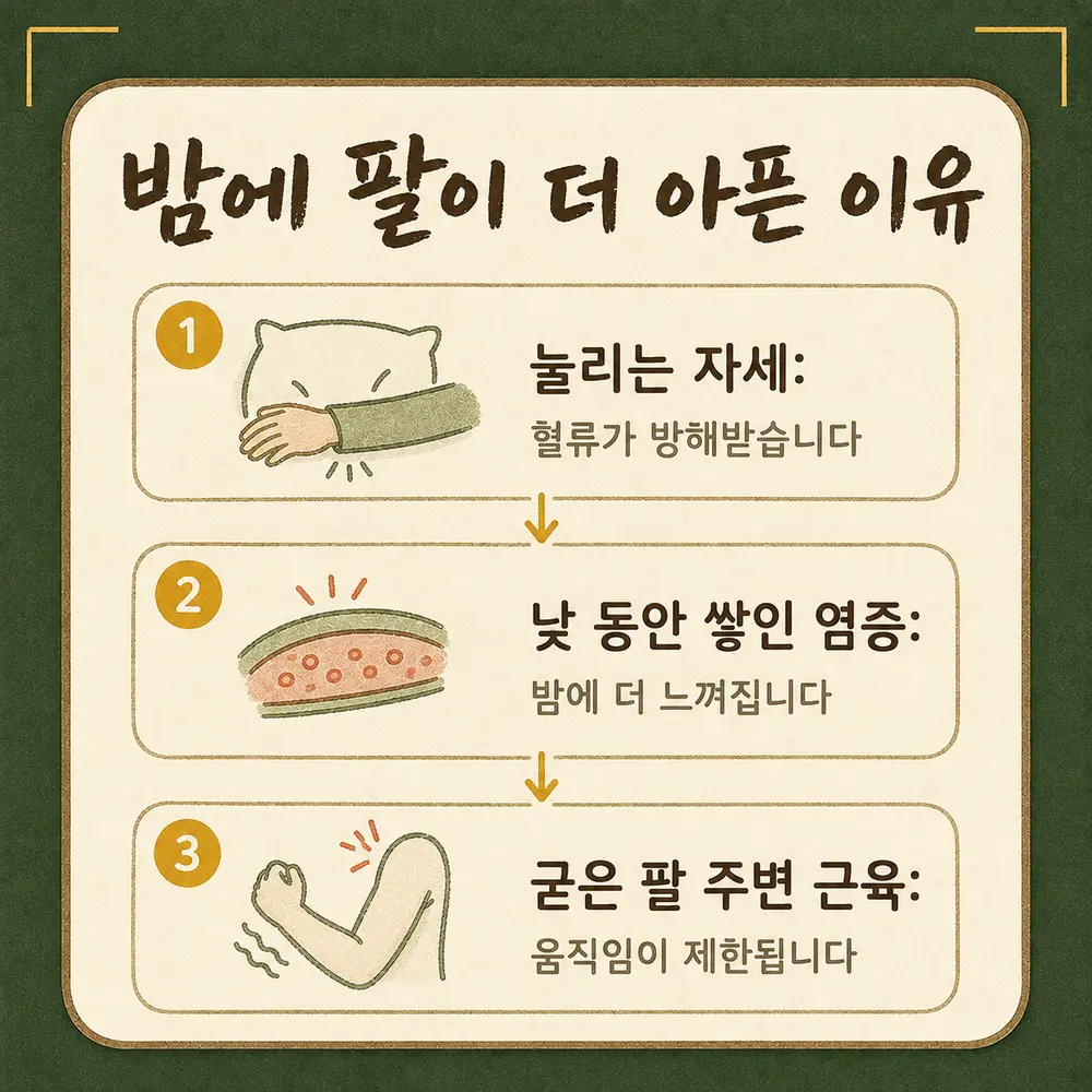 어깨 야간통 한방치료 - 인천 송도 더율한의원