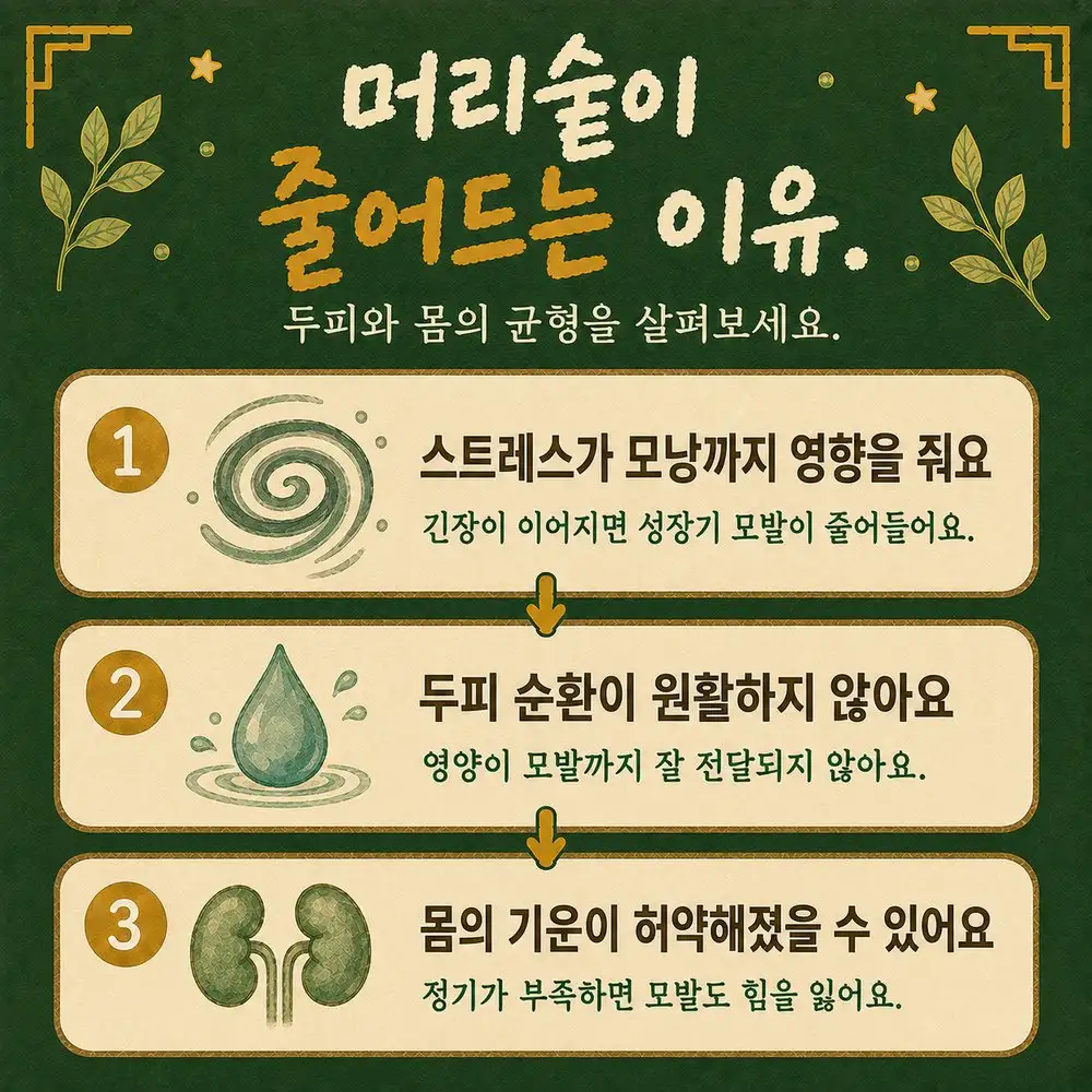 여성 탈모 상담 - 인천 송도 더율한의원