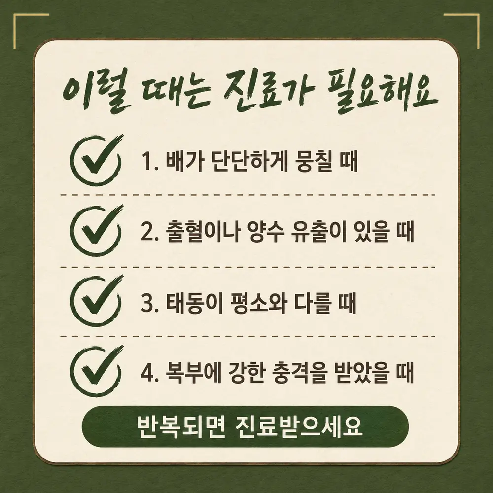 인천송도 더율한의원 임신 중 교통사고 응급 신호 - 배 뭉침 출혈 양수 유출 태동 변화 복부 충격
