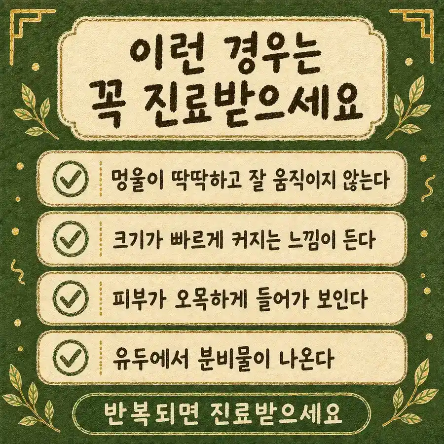 가슴 멍울 확인 상담 - 인천 송도 더율한의원
