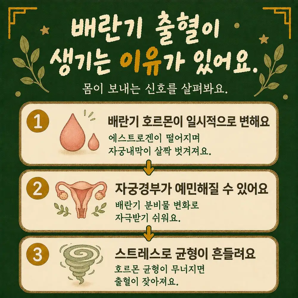 배란기 출혈 상담 - 인천 송도 더율한의원