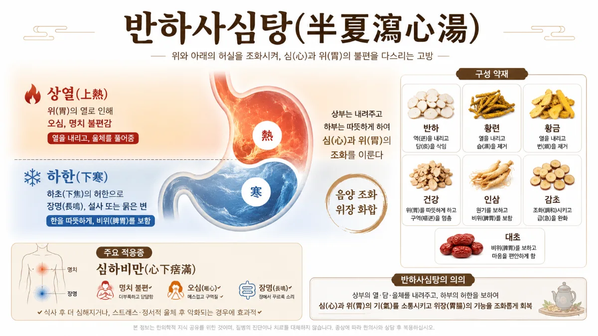 반하사심탕 인포그래픽