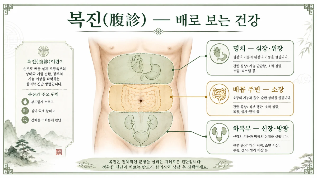 복진 인포그래픽