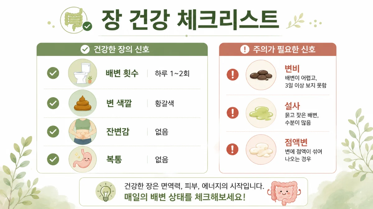 장 건강 인포그래픽