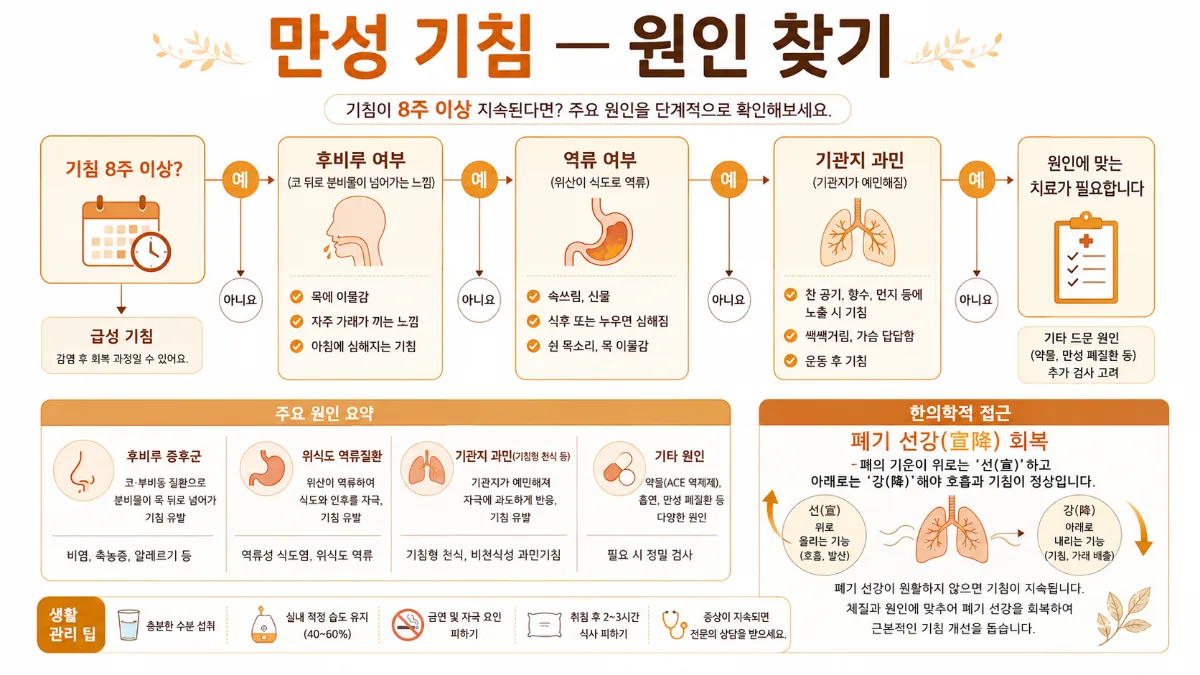 감기 초기 대처 인포그래픽