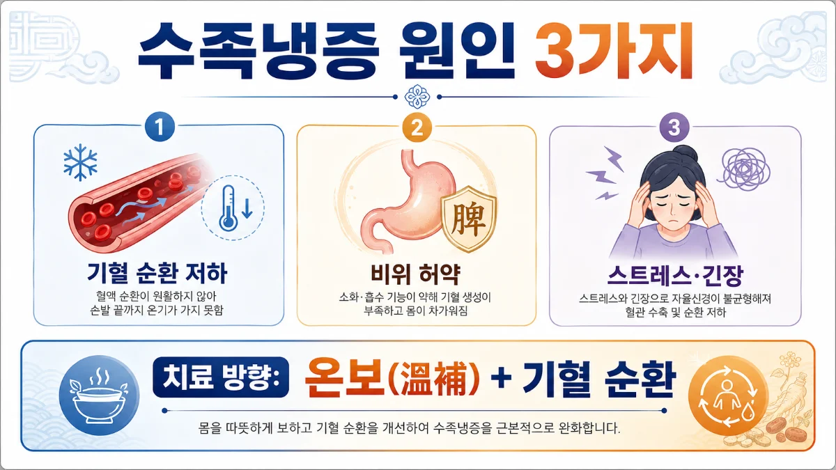 수족냉증 인포그래픽