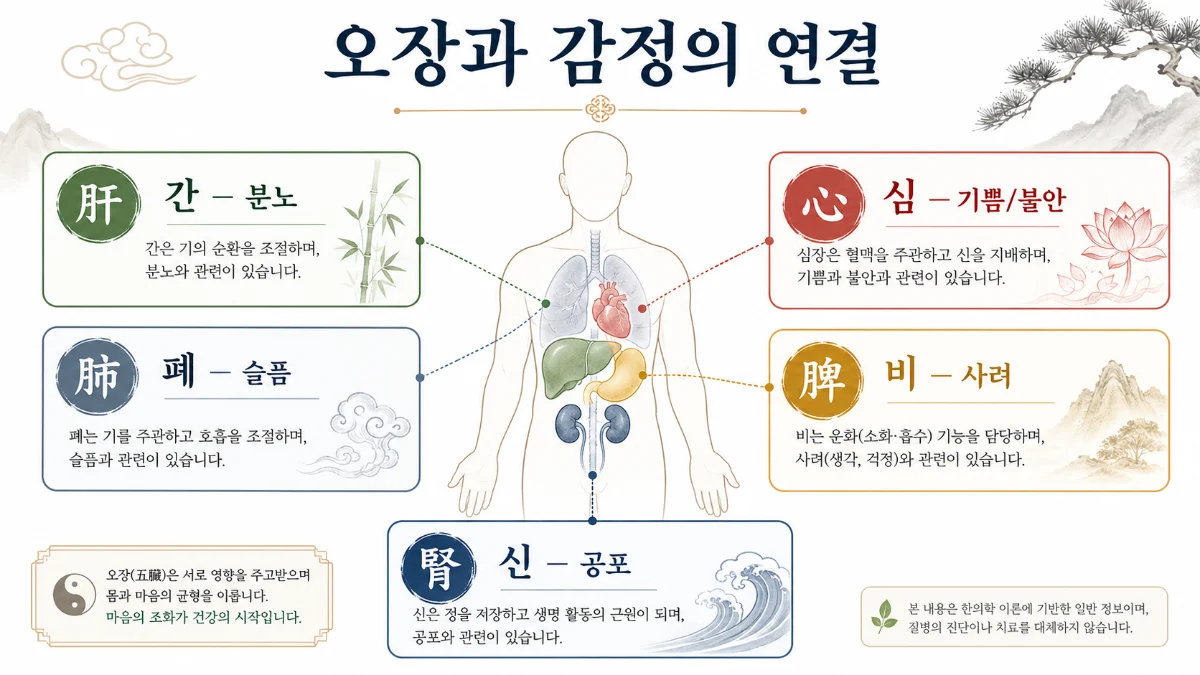 칠정오장 인포그래픽