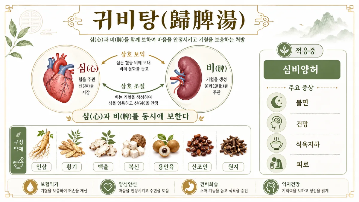 귀비탕 인포그래픽