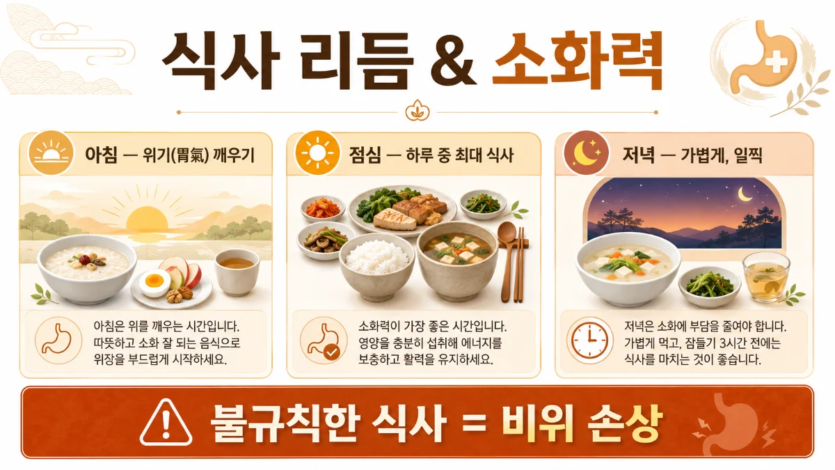 식사 리듬 인포그래픽