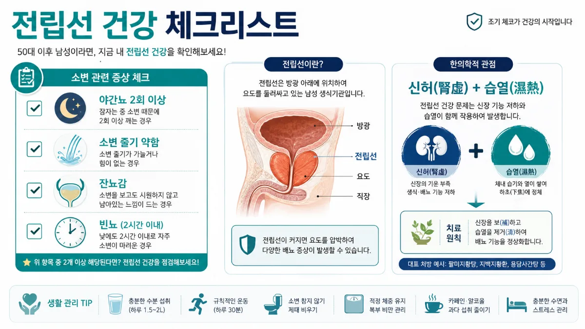 전립선 건강 인포그래픽