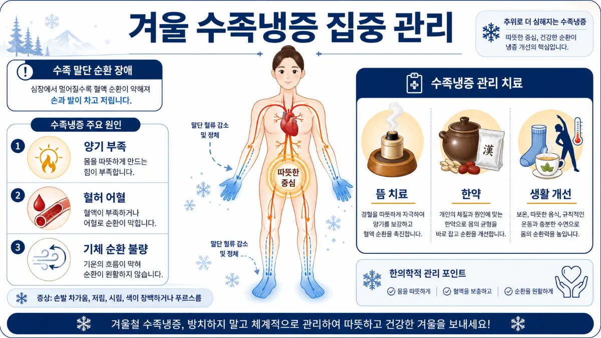 겨울 수족냉증 인포그래픽