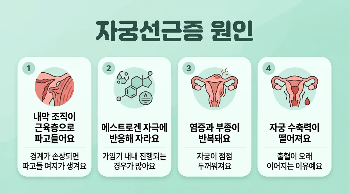 인천 송도 더율한의원 - 자궁선근증 원인