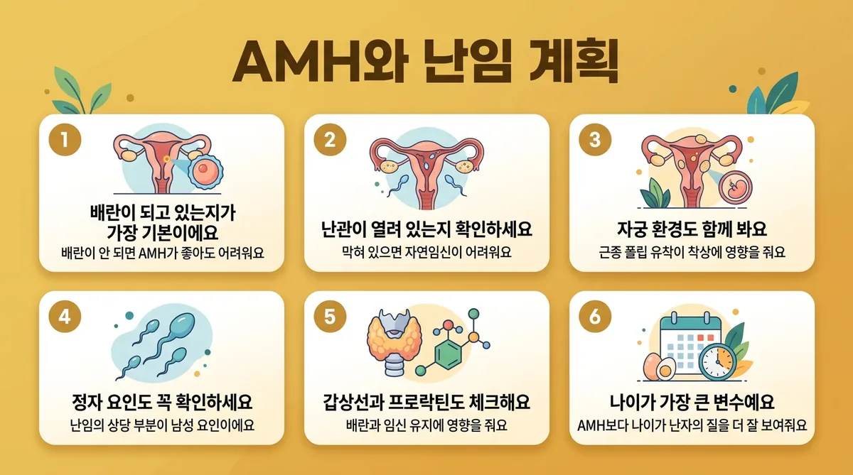 인천 송도 더율한의원 - 난소나이(AMH) 임신 계획