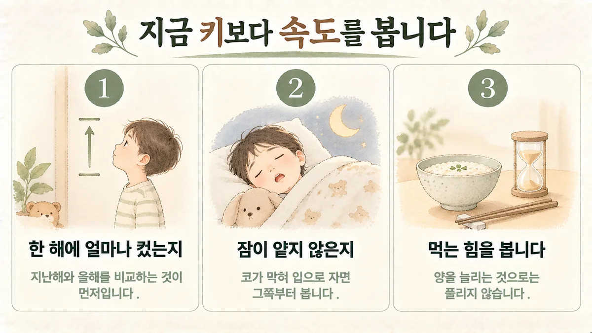 배곧한의원 키성장 원인 - 한 해에 자란 정도·얕은 잠·먹는 힘
