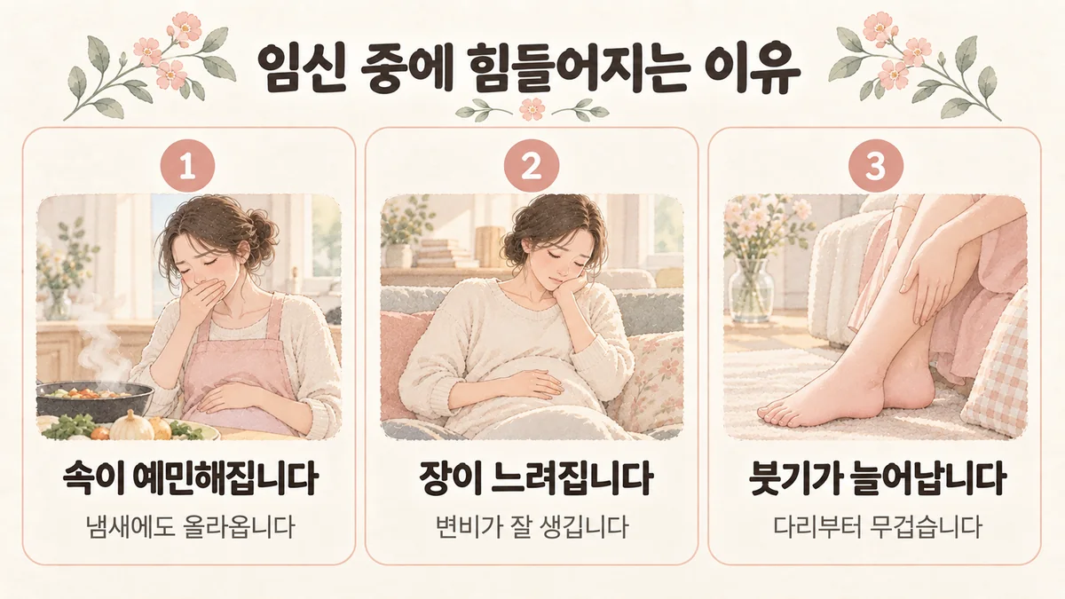 배곧한의원 임신 중 관리 원인 - 속이 예민해집니다·장이 느려집니다·붓기가 늘어납니다