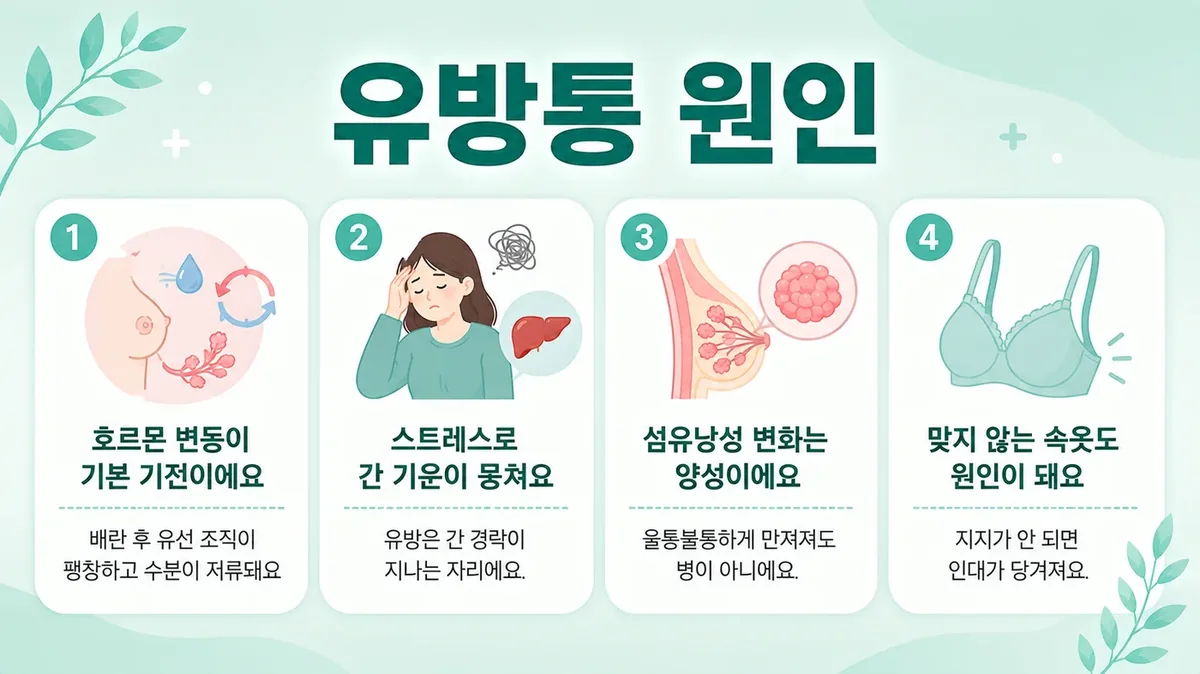 인천 송도 더율한의원 - 유방통 원인