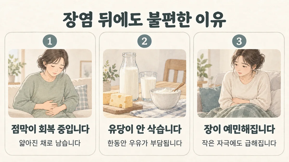 부천한의원 장염 후유증 원인 - 점막이 회복 중입니다·유당이 안 삭습니다·장이 예민해집니다
